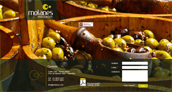 Desktop Screenshot of molanes.com